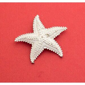 Mermaid's Silver Tone Starfish Brooch F14